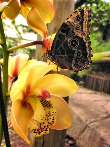 Imagine atasata: 165_e420c362e55f0a9ccc0cdf82d059772b.jpg