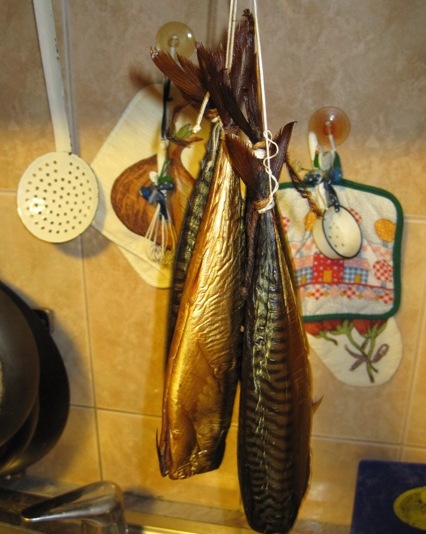 Imagine atasata: 284_619077b72064748d37e3f23f0ffa585a.jpg