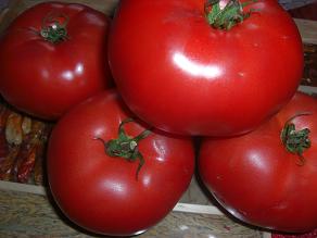 Imagine atasata: 85_7165d4f10702307d56f234073444ea50.jpg