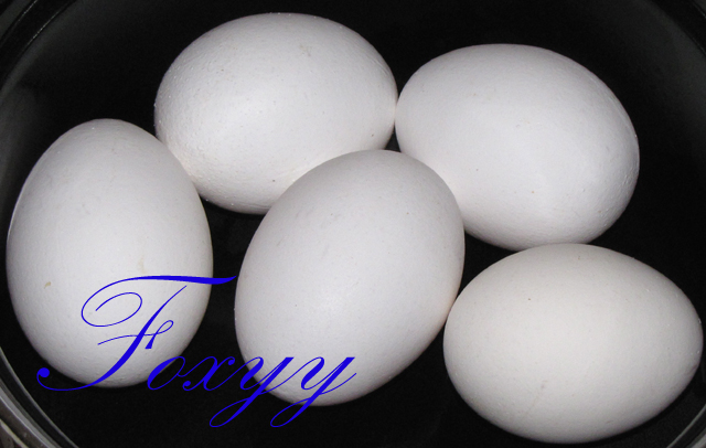 Imagine atasata: 97_e0b03d62938724f126bfb1a053249098.jpg