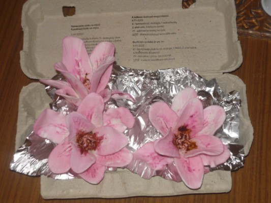 Imagine atasata: monthly_01_2011/post-20-12956130265759.jpg