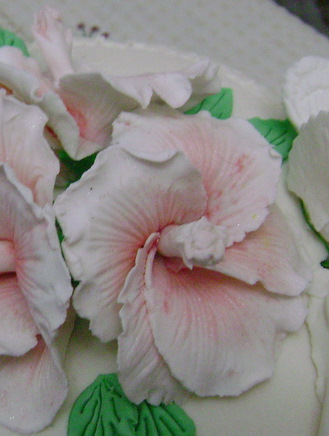 Imagine atasata: monthly_01_2011/post-418-12955176038868.jpg