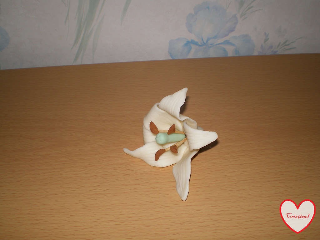 Imagine atasata: monthly_01_2011/post-758-12954324828905.jpg