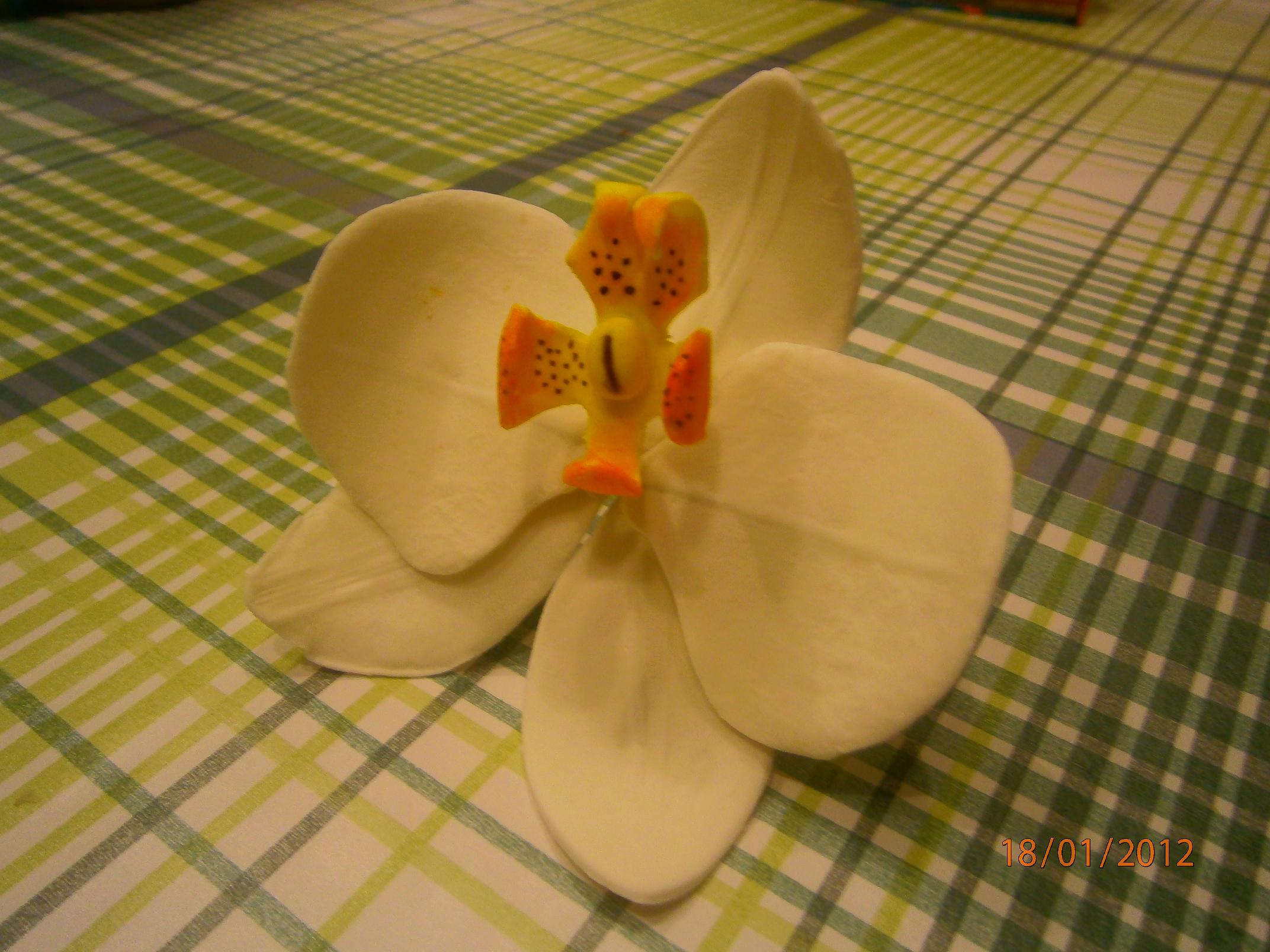 Imagine atasata: monthly_01_2012/post-1225-13273971849329.jpg