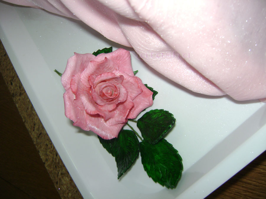 Imagine atasata: monthly_02_2011/post-230-12975297724773.jpg