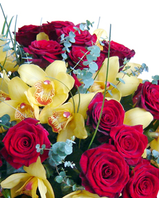 Imagine atasata: monthly_02_2012/post-46-13285134699766.jpg