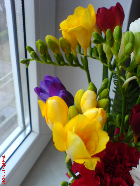 Imagine atasata: monthly_02_2012/post-508-1328554636599.jpg