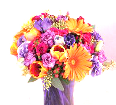Imagine atasata: monthly_02_2013/post-639-13602245588612.jpg