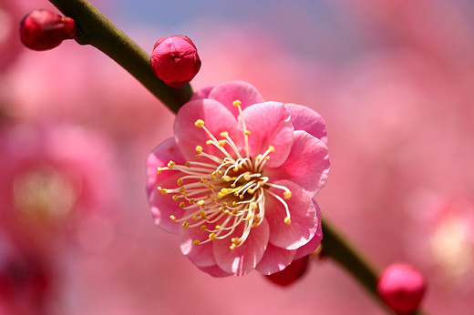 Imagine atasata: monthly_02_2014/post-409-13932498941581.jpg