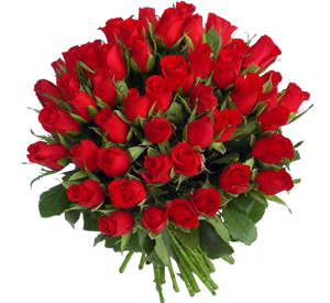 Imagine atasata: monthly_02_2014/post-42-13916786413119.jpg