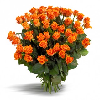 Imagine atasata: monthly_02_2015/post-42-14232175269065.jpg