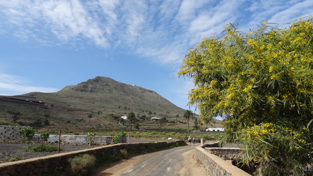 Imagine atasata: monthly_02_2016/post-27-14547431389518.jpg