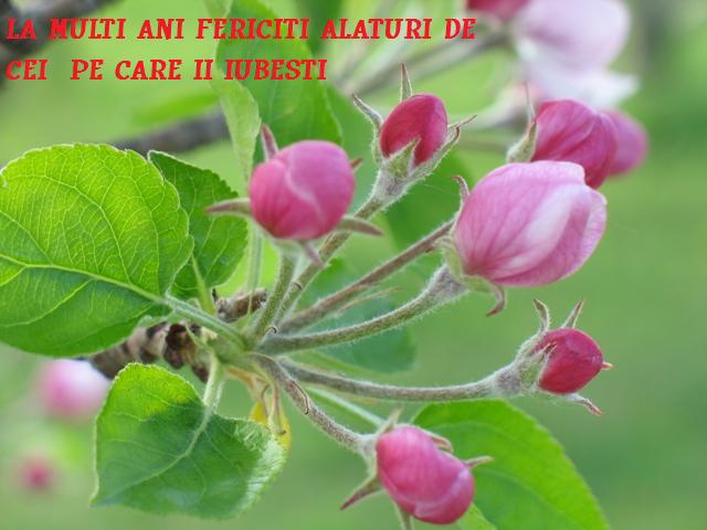 Imagine atasata: monthly_03_2010/post-156-126868126056.jpg