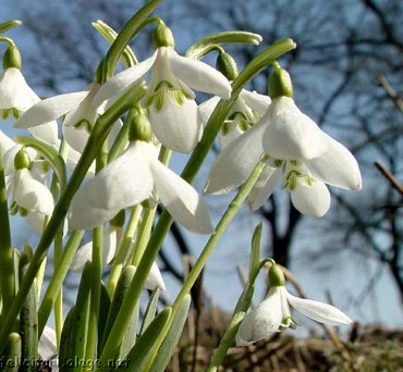 Imagine atasata: monthly_03_2012/post-566-133071747106.jpg