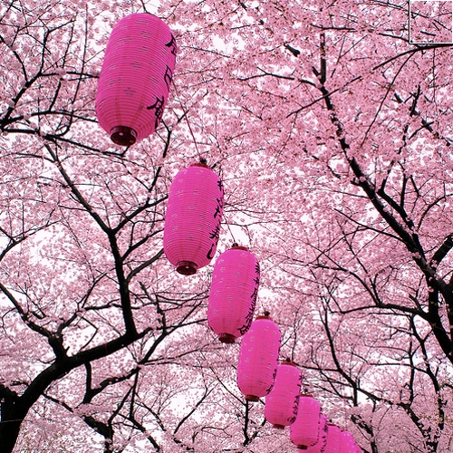 Imagine atasata: monthly_03_2013/post-12-13624050221646.jpg