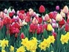 Imagine atasata: monthly_03_2013/post-409-13624279645354.jpg