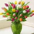 Imagine atasata: monthly_03_2013/post-409-13643913854548.jpg