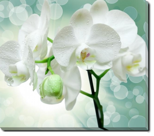 Imagine atasata: monthly_03_2014/post-405-13937474324907.jpg