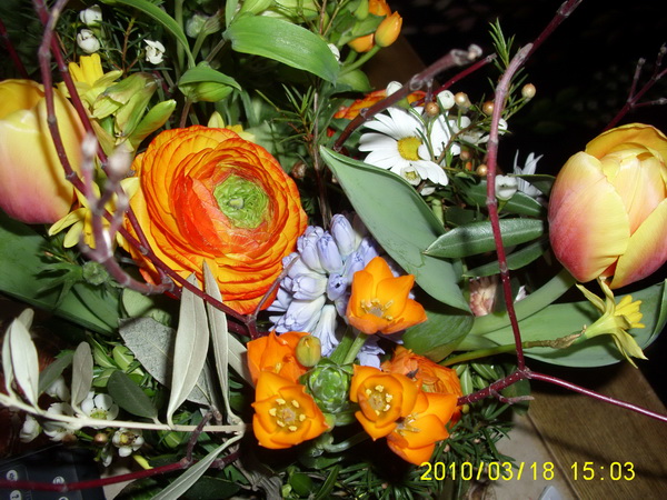 Imagine atasata: monthly_04_2010/post-16-127158412201.jpg