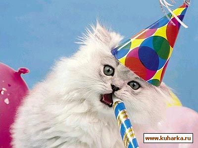 Imagine atasata: monthly_04_2010/post-366-127219097873.jpg