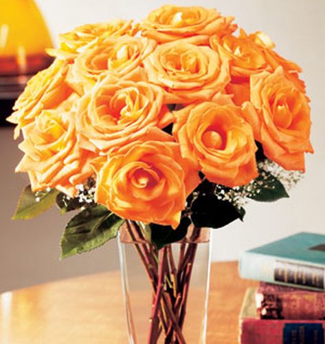 Imagine atasata: monthly_04_2010/post-42-127227492886.jpg