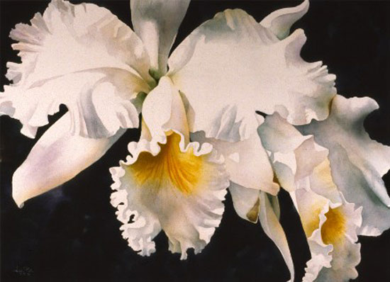 Imagine atasata: monthly_04_2010/post-91-127170742266.jpg