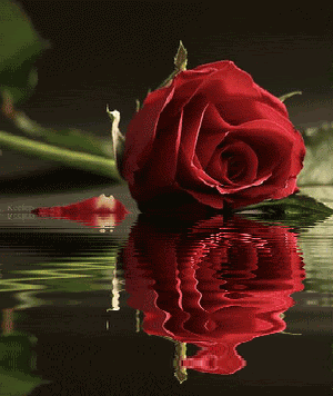 Imagine atasata: monthly_04_2011/post-212-13034540590017.gif