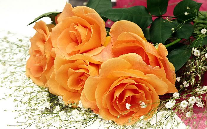 Imagine atasata: monthly_04_2011/post-73-13031508404332.jpg