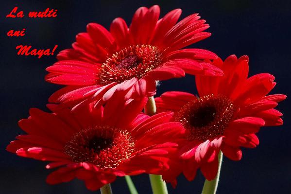 Imagine atasata: monthly_04_2012/post-13-13350466261949.jpg