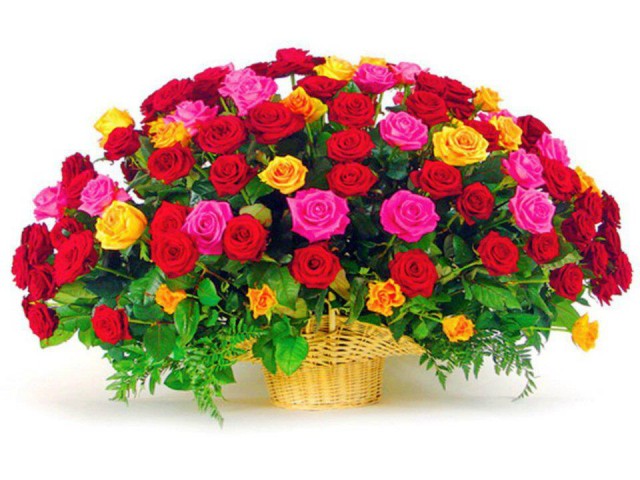 Imagine atasata: monthly_04_2012/post-162-13351220147934.jpg