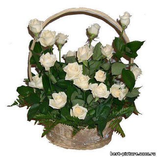 Imagine atasata: monthly_04_2012/post-413-13350794920768.jpg