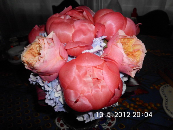 Imagine atasata: monthly_04_2013/post-16-13662648336485.jpg