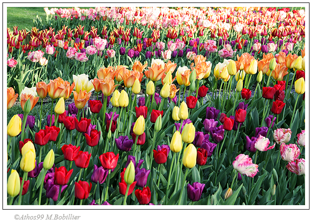 Imagine atasata: monthly_04_2013/post-16-13666026676571.jpg