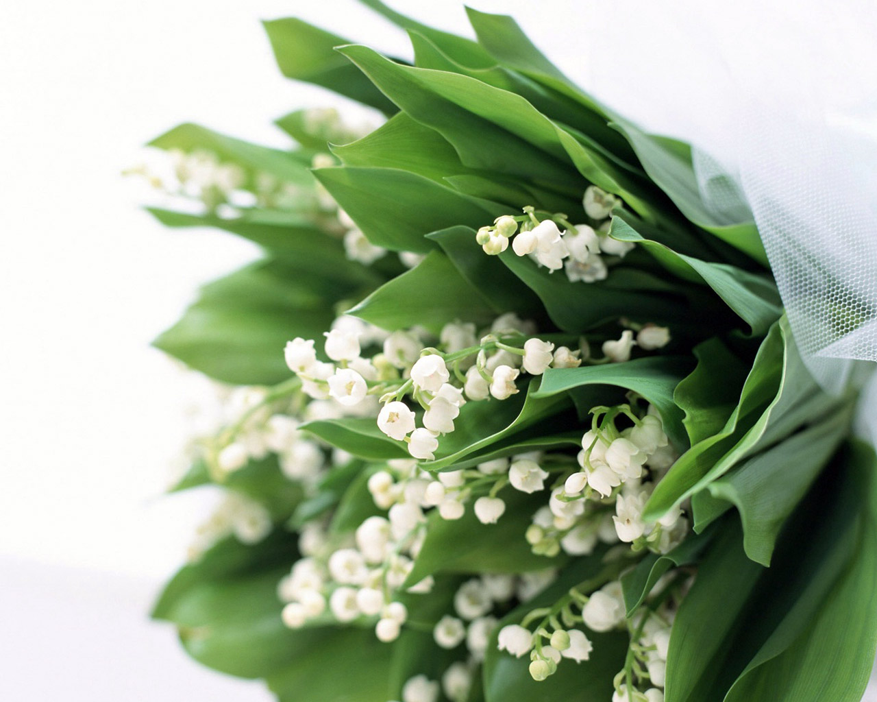 Imagine atasata: monthly_04_2014/post-189-13981395933733.jpg