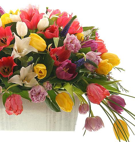 Imagine atasata: monthly_04_2014/post-405-13981511348333.jpg