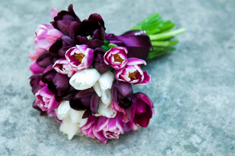 Imagine atasata: monthly_04_2014/post-685-1398435685522.jpg