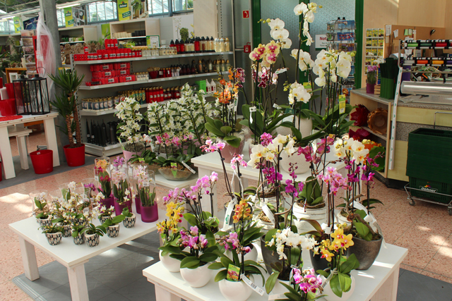 Imagine atasata: monthly_04_2015/post-27-1428727069225.jpg