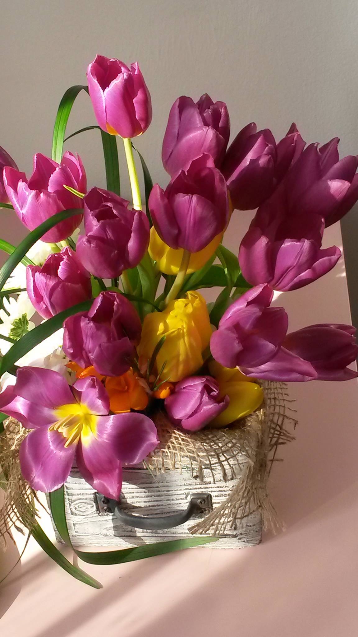 Imagine atasata: monthly_04_2016/post-685-14610166869118.jpeg