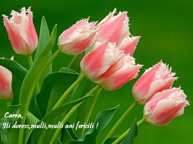 Imagine atasata: monthly_05_2011/post-48-13050095748545.jpg