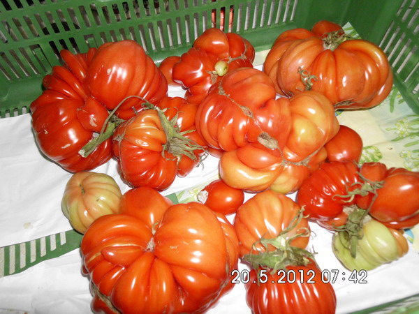 Imagine atasata: monthly_05_2012/post-16-13375909846455.jpg