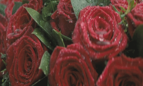 Imagine atasata: monthly_05_2013/post-405-13680999924233.gif