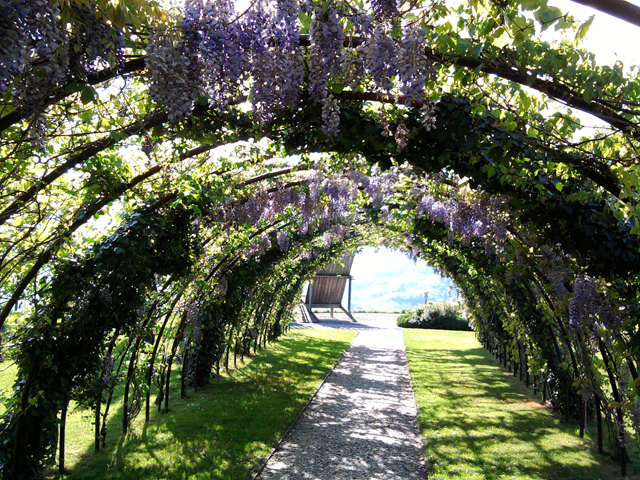 Imagine atasata: monthly_05_2015/post-27-14308926118942.jpg