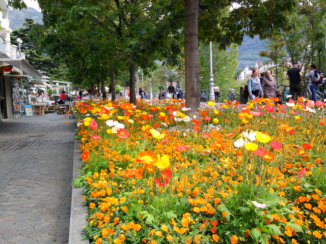 Imagine atasata: monthly_05_2015/post-27-14309805738071.jpg