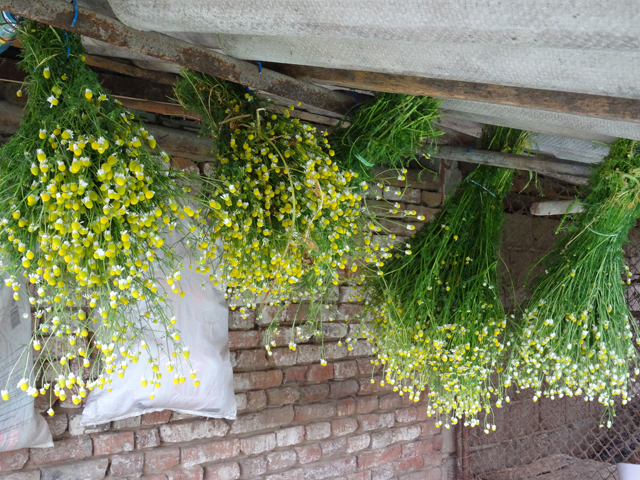 Imagine atasata: monthly_05_2015/post-27-14323565444915.jpg