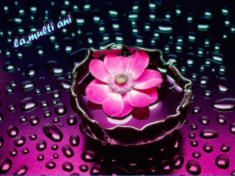 Imagine atasata: monthly_06_2010/post-424-127712116132.jpg