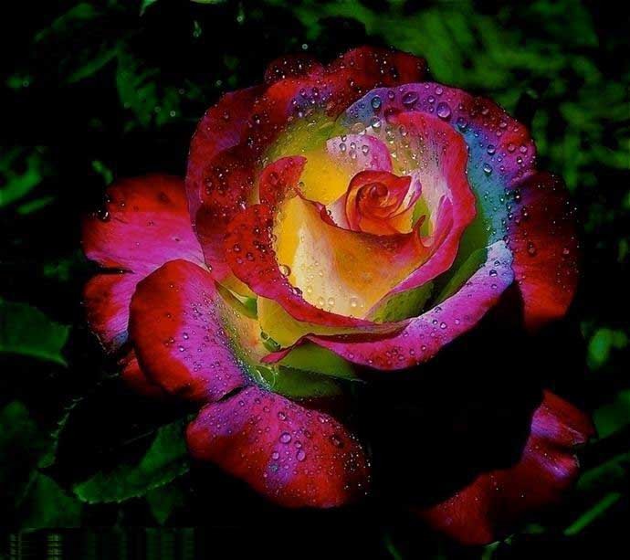 Imagine atasata: monthly_06_2010/post-88-127617042339.jpg