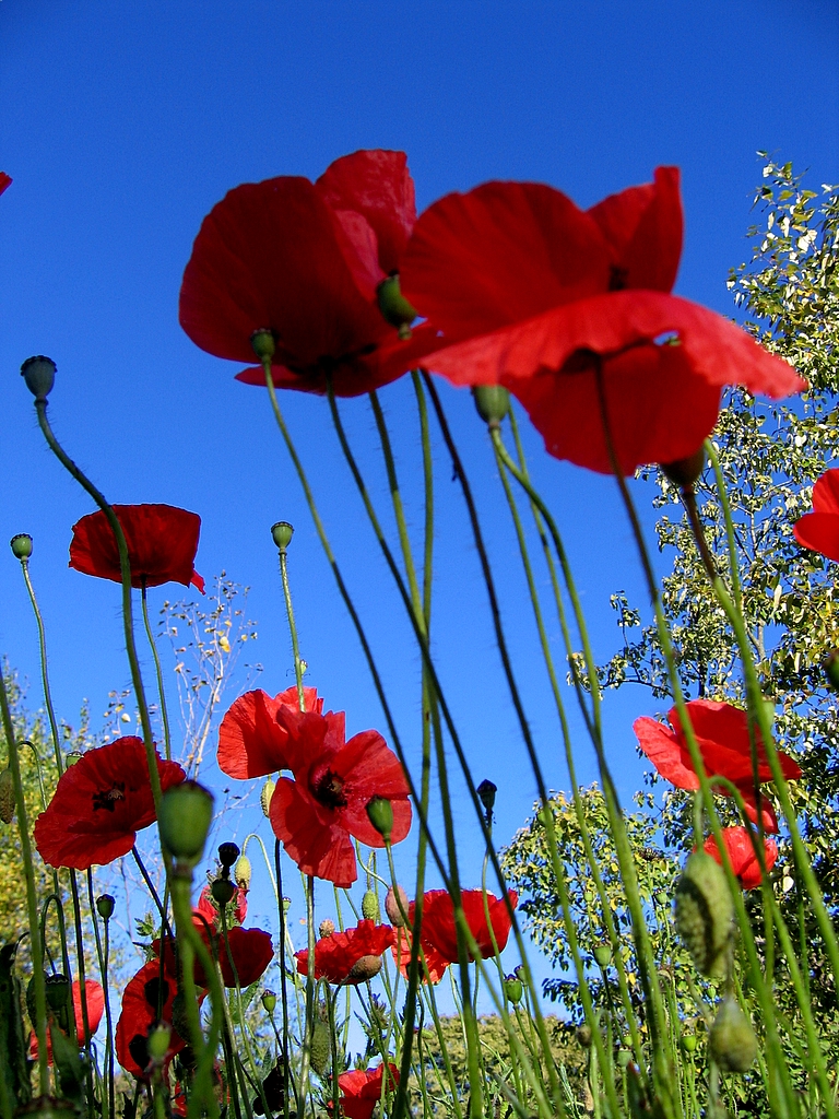 Imagine atasata: monthly_06_2010/post-88-12771049341.jpg