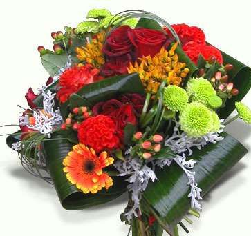 Imagine atasata: monthly_06_2011/post-405-13086341114938.jpg