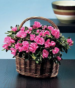 Imagine atasata: monthly_06_2011/post-780-13076947459884.jpg