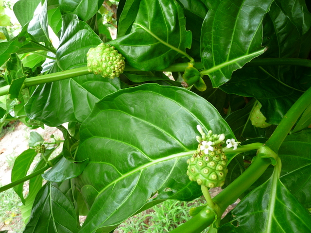 Imagine atasata: monthly_06_2012/post-1215-1340557077287.jpg